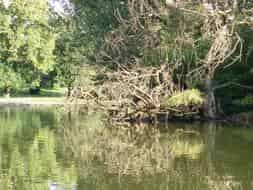 beaux-poissons-vincennes-2007-1