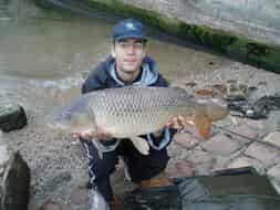 bigcarp0coup-seine-19-06-07-4