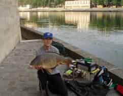 bigcarp0coup-seine-19-06-07-7