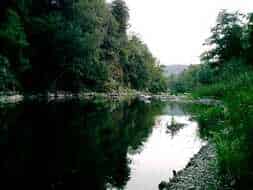 ecole-de-peche-en-aveyron-1