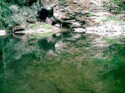 ecole-de-peche-en-aveyron-2