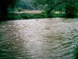 ecole-de-peche-en-aveyron-4