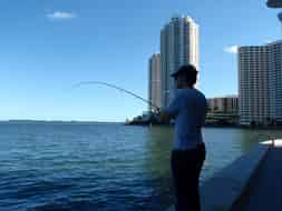 Pêche à l'estuaire de la Miami river